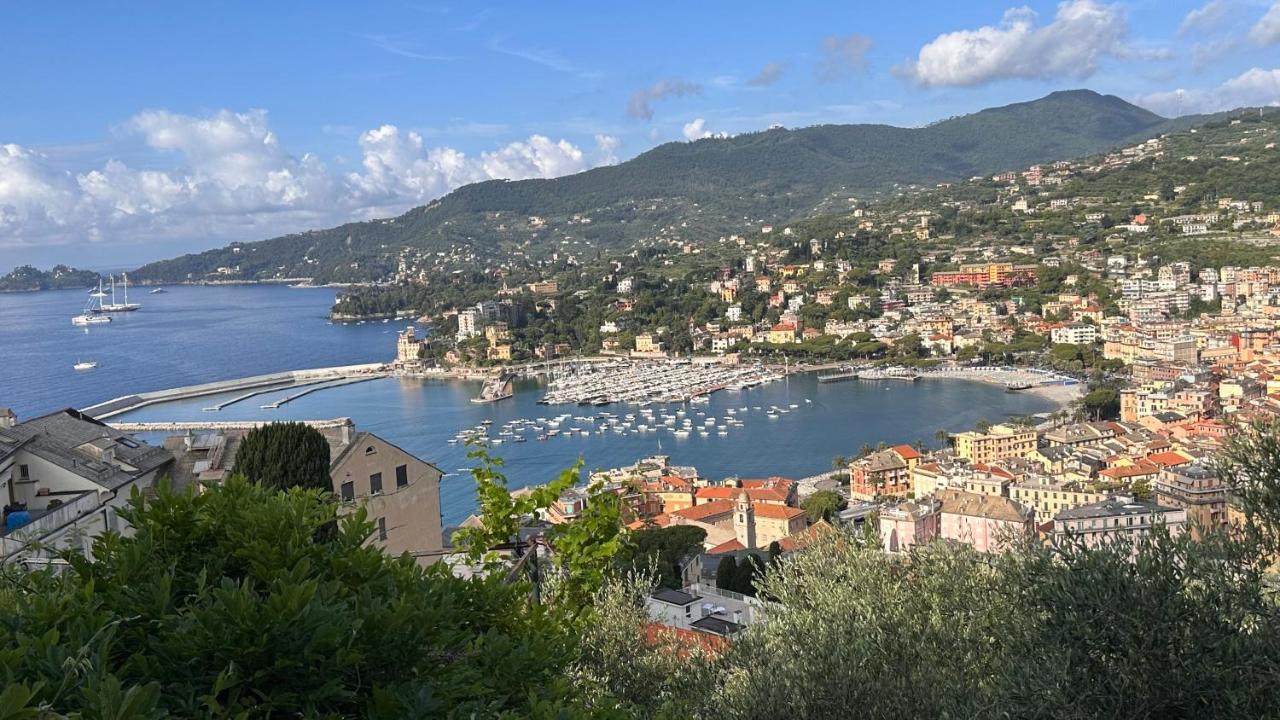 Edens House Con Parcheggio Privato Gratuito Leilighet Rapallo Eksteriør bilde